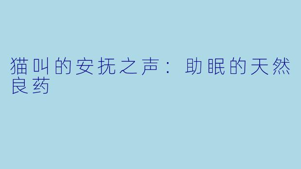 猫叫的安抚之声：助眠的天然良药