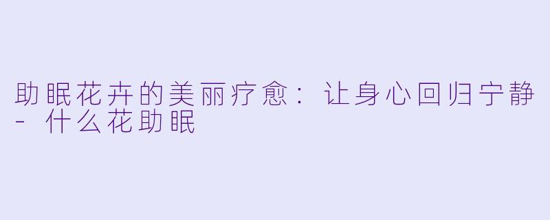 助眠花卉的美丽疗愈：让身心回归宁静-什么花助眠