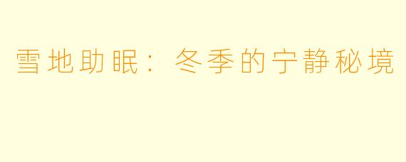 雪地助眠：冬季的宁静秘境