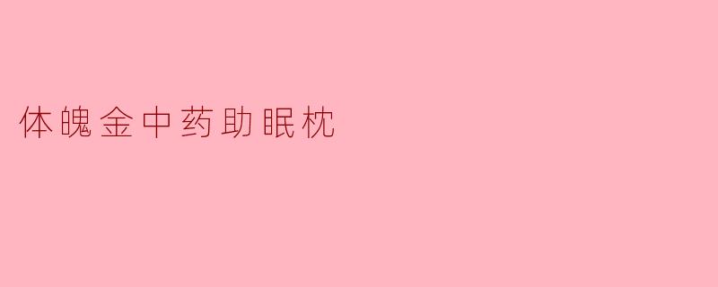 体魄金中药助眠枕