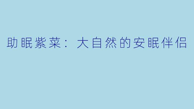 助眠紫菜：大自然的安眠伴侣