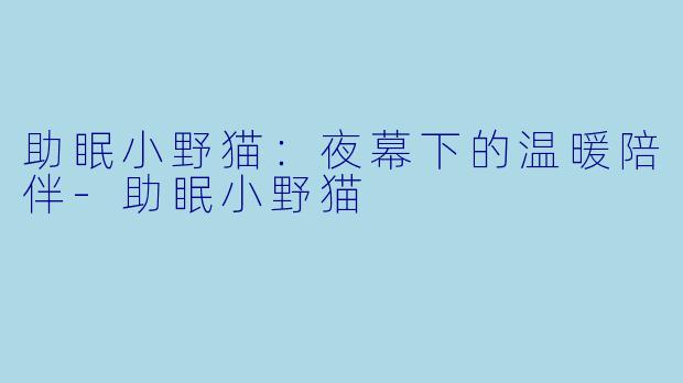 助眠小野猫：夜幕下的温暖陪伴-助眠小野猫