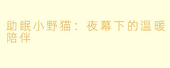 助眠小野猫：夜幕下的温暖陪伴
