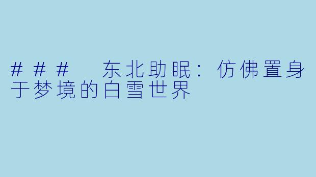 ### 东北助眠：仿佛置身于梦境的白雪世界