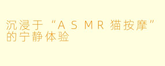 沉浸于“ASMR猫按摩”的宁静体验
