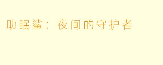 助眠鲨：夜间的守护者