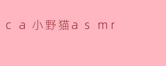 ca小野猫的ASMR有哪些特色？