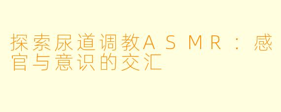 探索尿道调教ASMR：感官与意识的交汇