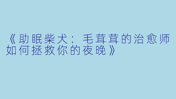 《助眠柴犬：毛茸茸的治愈师如何拯救你的夜晚》