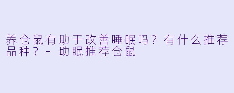 养仓鼠有助于改善睡眠吗？有什么推荐品种？-助眠推荐仓鼠
