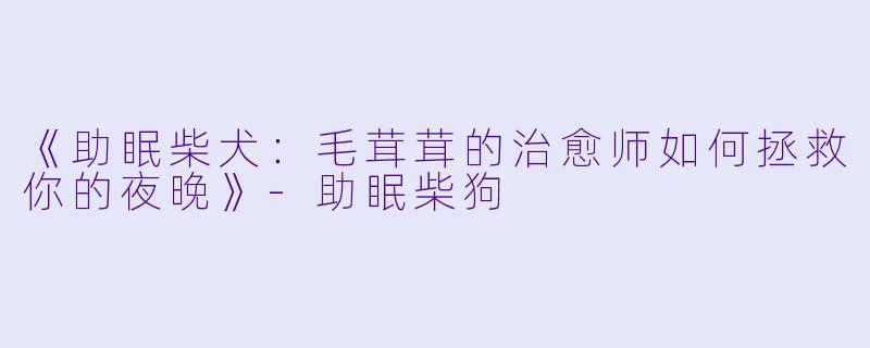 《助眠柴犬：毛茸茸的治愈师如何拯救你的夜晚》-助眠柴狗