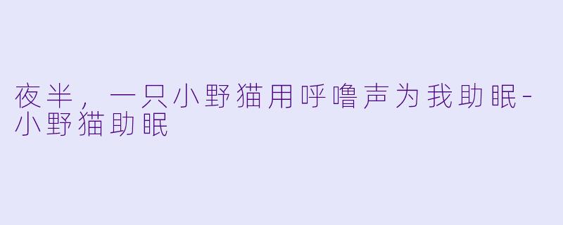 夜半，一只小野猫用呼噜声为我助眠-小野猫助眠