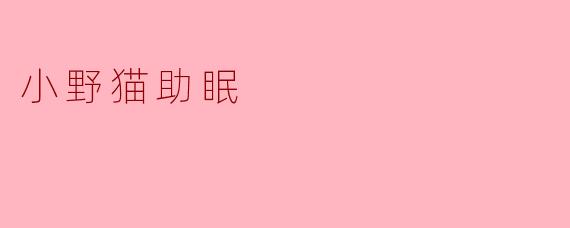 小野猫助眠