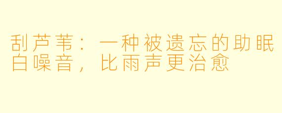 刮芦苇:一种被遗忘的助眠白噪音,比雨声更治愈